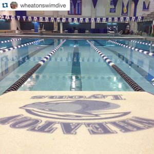 Image post by @wheatonlyons on Instagram