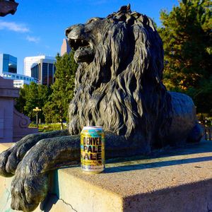 Image post by @greatdividebrew on Instagram