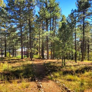 Image post by @nauflagstaff on Instagram