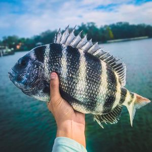 Image post by @toadfishoutfitters on Instagram