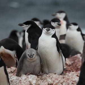 Image post by @centerforbiodiv on Instagram