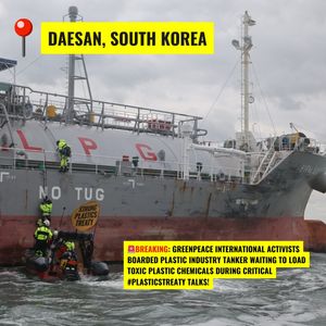 Image post by @greenpeace on Instagram