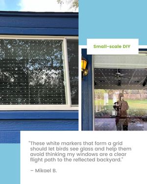 Image post by @featherfriendly on Instagram