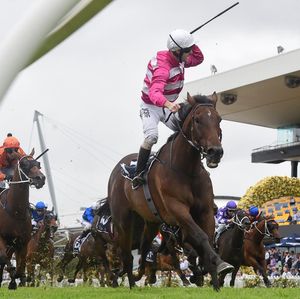 Image post by @australianturfclub on Instagram