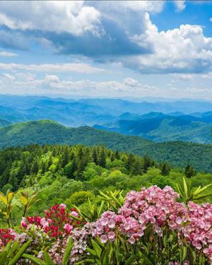 Image post by @residencesatbiltmore on Instagram