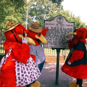 Image post by @uofscalumni on Instagram