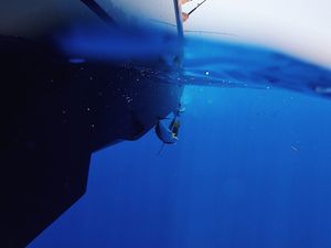 Image post by @freemanboatworks on Instagram