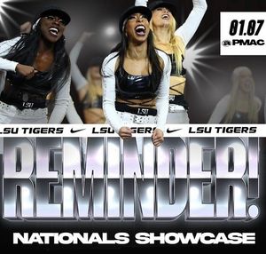 Image post by @lsutigergirls on Instagram