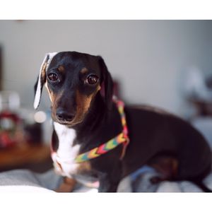 Image post by @bycorrigan on Instagram