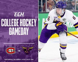 Image post by @everythingcollegehockey on Instagram