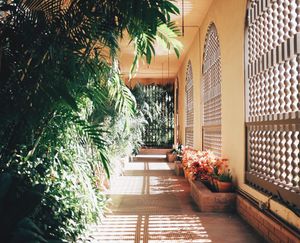 Image post by @zofeeagenota on Instagram