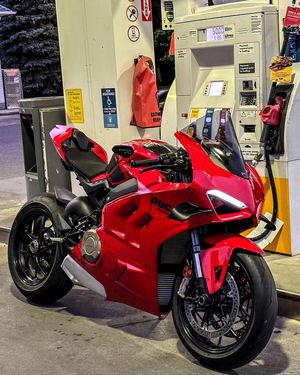 Image post by @panigalers on Instagram