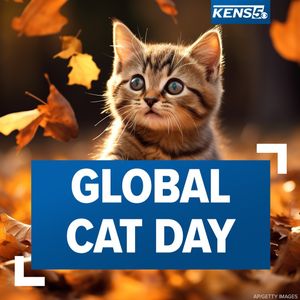Image post by @kens5 on Instagram