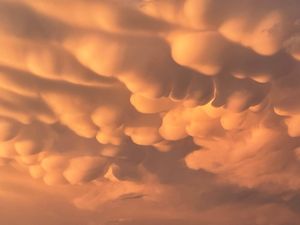 Image post by @foxweather on Instagram