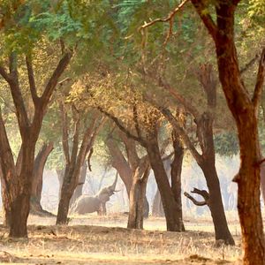 Image post by @chiawasafaris on Instagram