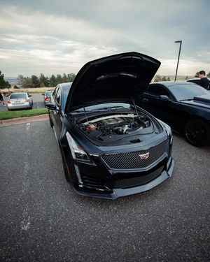 Image post by @cucarclub on Instagram