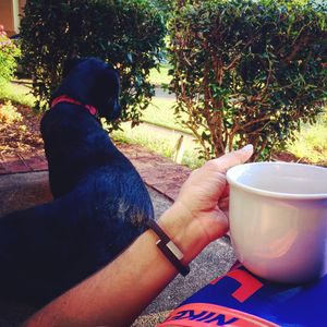 Image post by @melanielynnen on Instagram