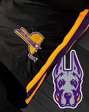 Image post by @purehockey on Instagram