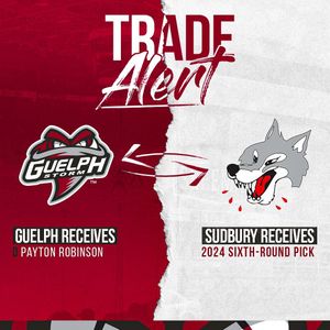 Image post by @guelph_storm_ohl on Instagram