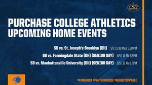 Image post by @purchasecollegeathletics on Instagram