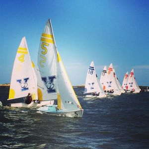 Image post by @yalesailing on Instagram