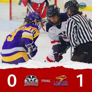 Image post by @brockwhockey on Instagram