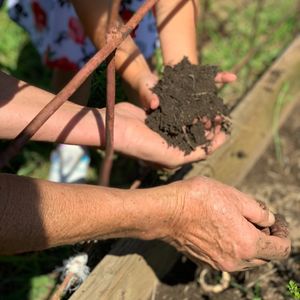 Image post by @kidsgardening on Instagram