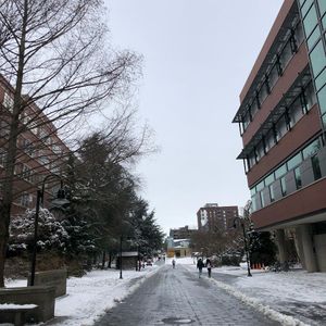 Image post by @seattleu on Instagram