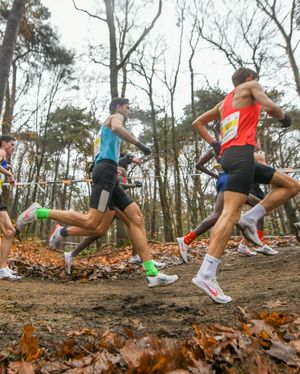 Image post by @hardloopnetwerk on Instagram