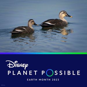Image post by @disneyparks on Instagram