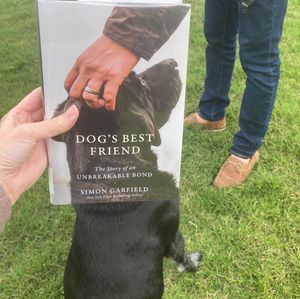 Image post by @stjohnscountylibrary on Instagram