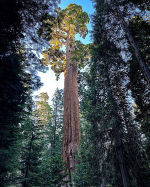 Image post by @nationalparkspartnership on Instagram