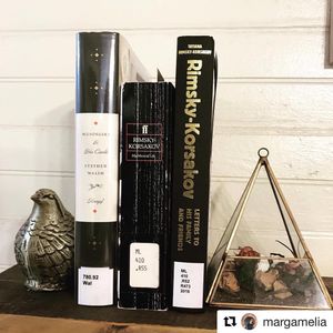 Image post by @stjohnscountylibrary on Instagram