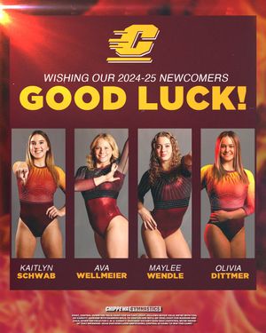 Image post by @CMUGymnastics on Twitter/X