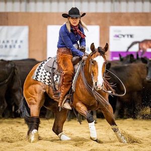 Image post by @gundyparkequine on Instagram