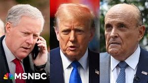 Video post by @msnbc on YouTube