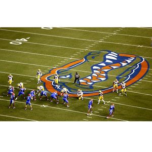 Image post by @gatorsports on Instagram