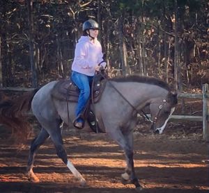 Image post by @appalachianequestrian on Instagram