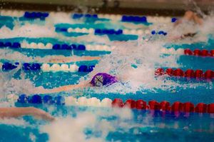 Image post by @swim_divefrhs on Instagram