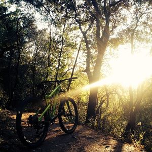 Image post by @bikerumor on Instagram