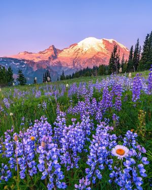 Image post by @nationalparkscollective on Instagram