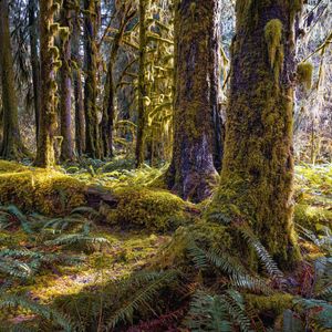 Image post by @nationalparkscollective on Instagram