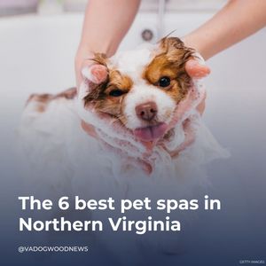 Image post by @vadogwoodnews on Instagram