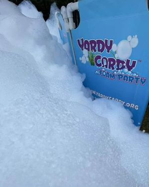 Image post by @yardycardy on Instagram