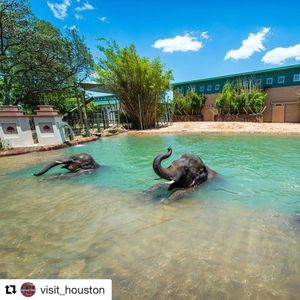 Image post by @houston on Instagram