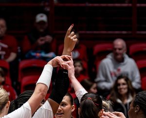 Image post by @badgervb on Instagram
