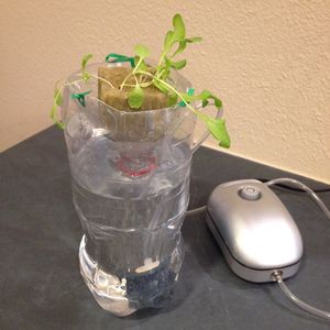 Image post by @kidsgardening on Instagram