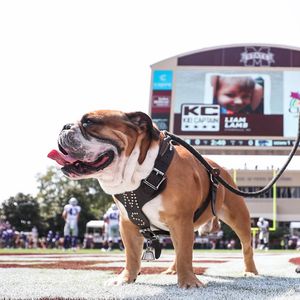 Image post by @hailstate on Instagram