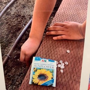 Image post by @kidsgardening on Instagram