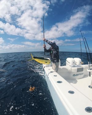 Image post by @freemanboatworks on Instagram